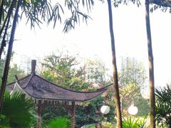 -晓港公园