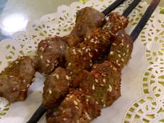红柳烤串-新疆红柳花餐厅(新洲店)