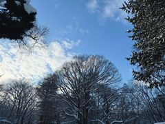 -北海道神宫