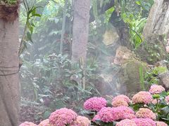 -广西壮族自治区药用植物园