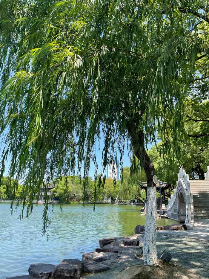 月湖公园-"沿马路走,眼前出现一个大湖,湖边长廊垂柳.
