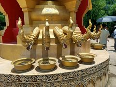 -西双版纳勐泐文化旅游区