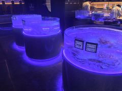 -豹豹私房火锅(侨城坊店)