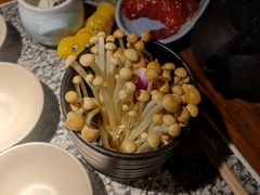 -老牌坊云南鱼豆花火锅(哈西万达店)
