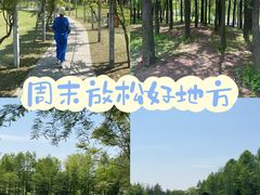 -上海长兴岛郊野公园