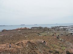 -八大关景区