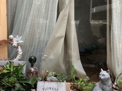 -拾壹cafe·工作室