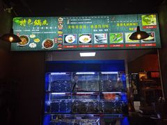 -石锅苗苗鱼(武汉首店)