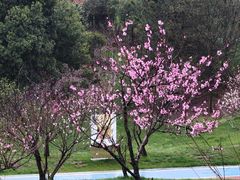 -中华贤母园-陶渊明纪念馆