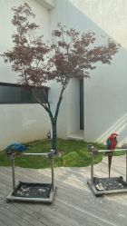 -禧园Joyous Garden ·宴会厅(禧园店)