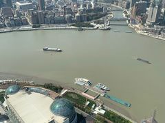 -东方明珠广播电视塔