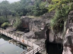 -蛇蟠岛