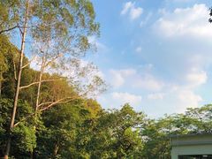 -火炉山森林公园