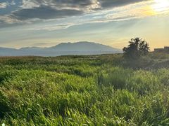-盐湖景区