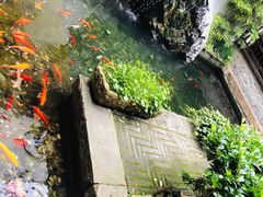 -真真老老(月河花鸟市场店)