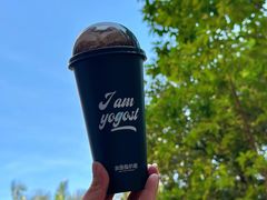 -我是酸奶君(壹方城店)