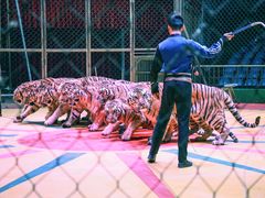 -西安秦岭野生动物园