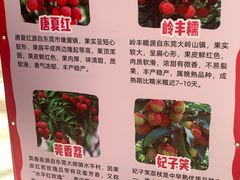-万科生活广场(东莞松山湖店)