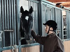 -北京群众马术培训基地