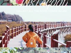 -北海金海湾红树林生态旅游区