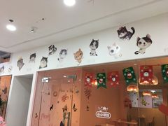 -三花喵·撸猫购宠·宠物生活馆(虹桥南丰城店)