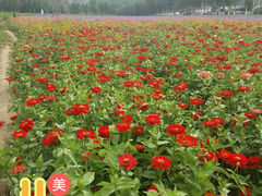 android_upload_pic-百里山水画廊乌龙峡谷