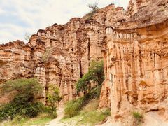 -元谋土林景区(物茂土林)