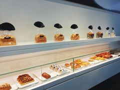 -BLACKSWAN黑天鹅(环球店)