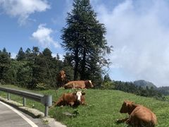 -摩围山景区