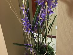 -山明水秀大饭店