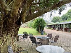 -侯臣咖啡文化村