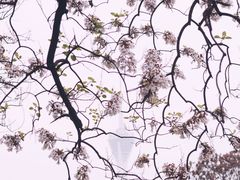 -红星桥(地铁站)