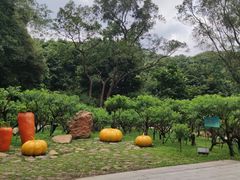 -广州市白云山风景名胜区