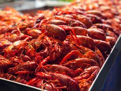 -大学城夜市大排档(凤栖路店)