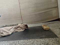 -张家港金凤凰度假村温泉