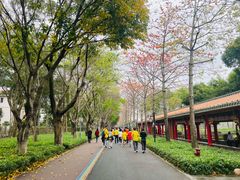 -顺峰山公园