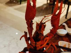 -河北宾馆·香溢自助餐(裕华店)