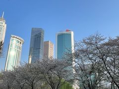 -西北湖绿化广场