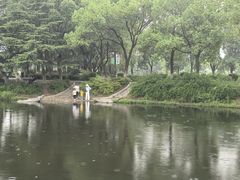 -金银湖国家城市湿地公园