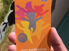 -成都泰迪熊博物馆