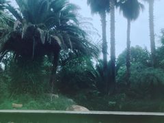 -昆明柏联SPA温泉