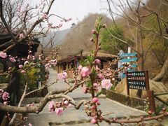 -北京水岸山吧度假村(雁栖镇店)