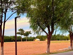 -汉长安城未央宫国家考古遗址公园