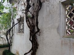 -艺圃