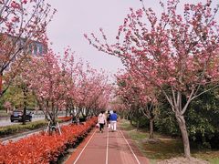 -自然谷恐龙园