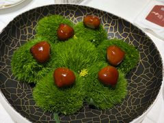 -鹿园 MOOSE(长宁店)