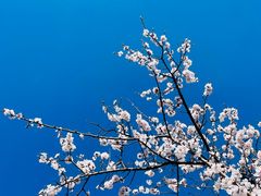 -蟠龙山长城景区