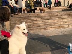 -江湾体育中心游泳馆