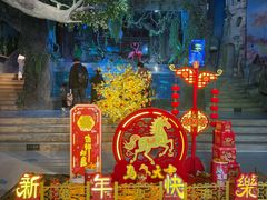 -合肥海洋世界