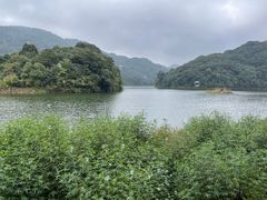 -广州市石门国家森林公园